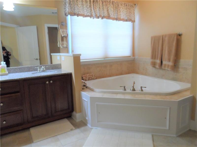 816 Mt Pleasant Road Mars, PA 16046 - Photo 14 of 25 Luxurious bath with jet spray soaking tub, ceramic shower