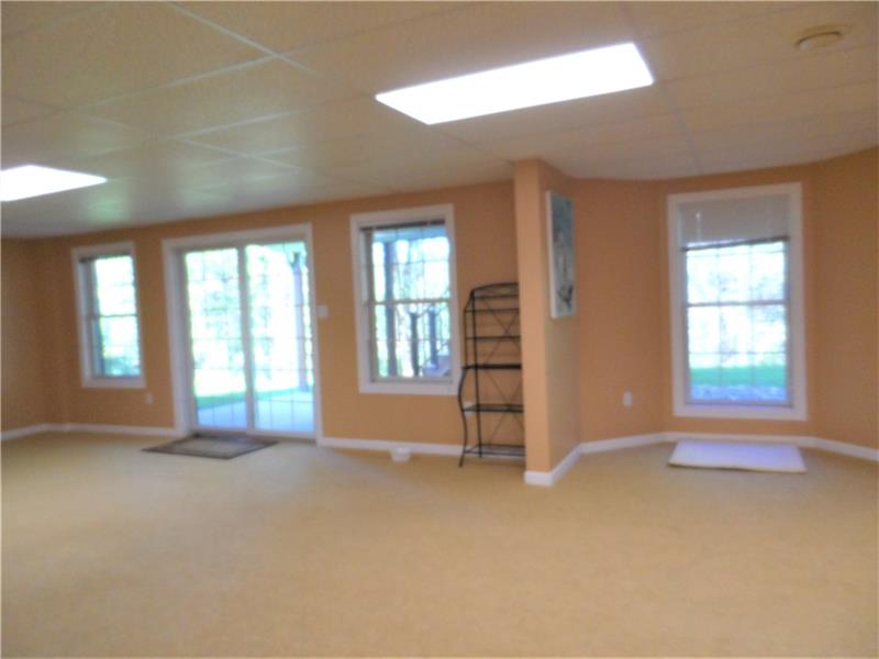 816 Mt Pleasant Road Mars, PA 16046 - Photo 20 of 25 Game room with door to rear yard and patio