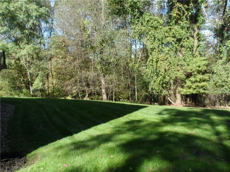816 Mt Pleasant Road Mars, PA 16046 - Photo 25 of 25 Lovely rear yard