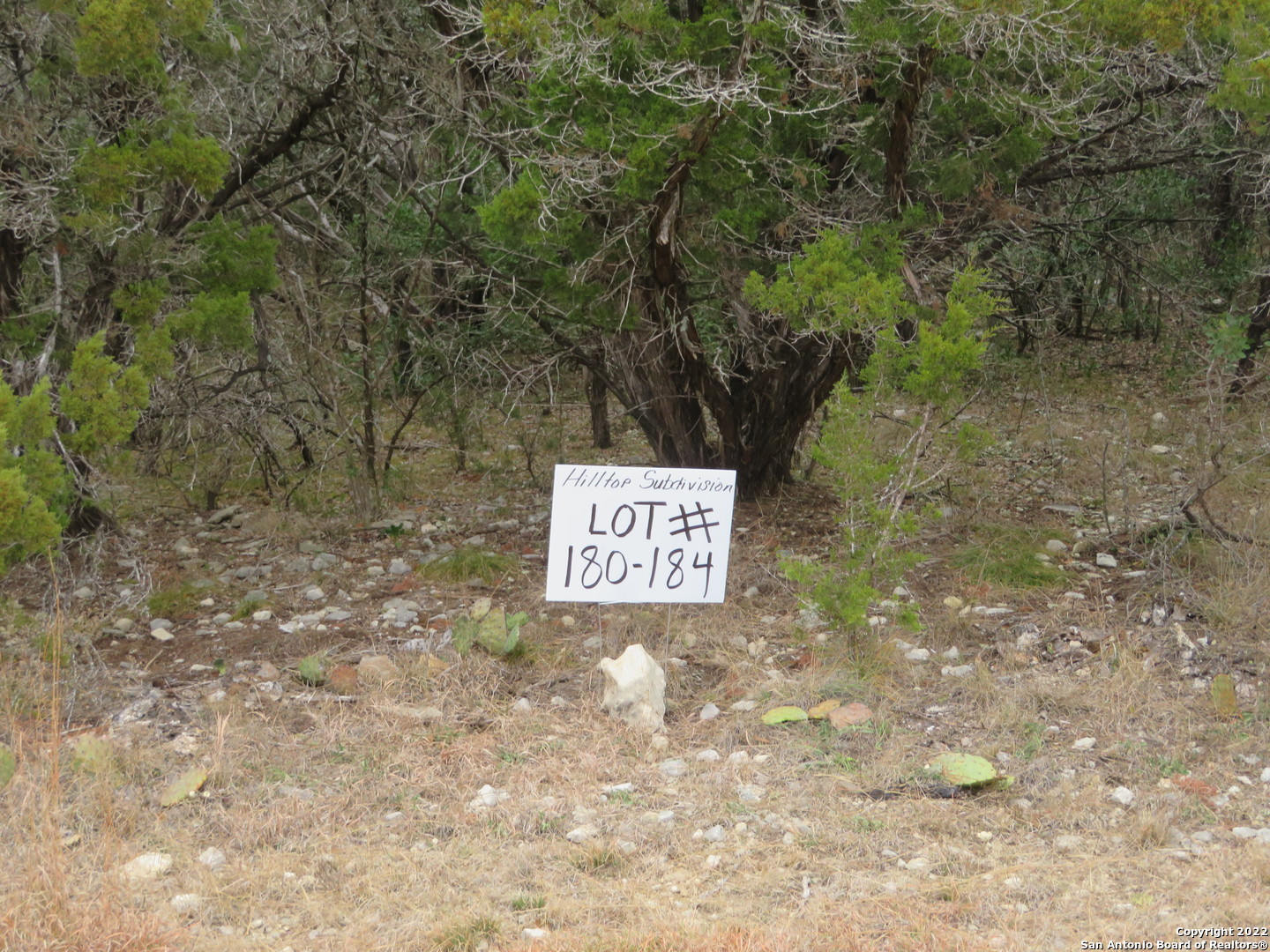 a sign that is sitting in front of a tree