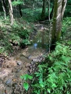 $436,975 | 63-65 Deerwood Circle, Dahlonega, GA 30533