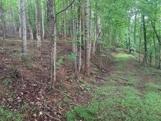 $436,975 | 63-65 Deerwood Circle, Dahlonega, GA 30533