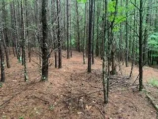 $436,975 | 63-65 Deerwood Circle, Dahlonega, GA 30533