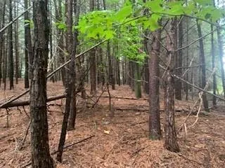 $436,975 | 63-65 Deerwood Circle, Dahlonega, GA 30533