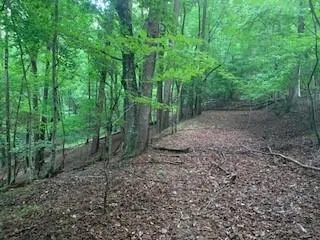 $436,975 | 63-65 Deerwood Circle, Dahlonega, GA 30533