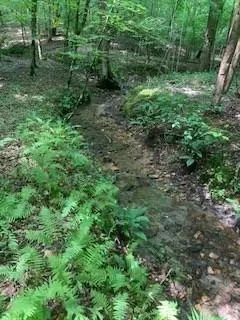 $436,975 | 63-65 Deerwood Circle, Dahlonega, GA 30533