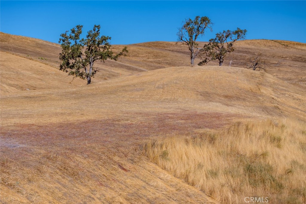 3775 Gruenhagen Paso Robles, CA 93446 - Photo 1 of 1 a view of a dry yard