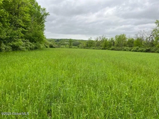 $74,900 | L1.12 Carlisle Road, Canajoharie, NY 13317