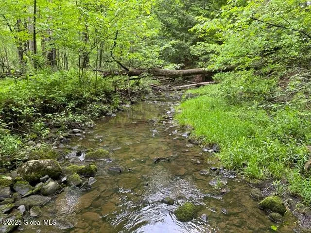 $74,900 | L1.12 Carlisle Road, Canajoharie, NY 13317