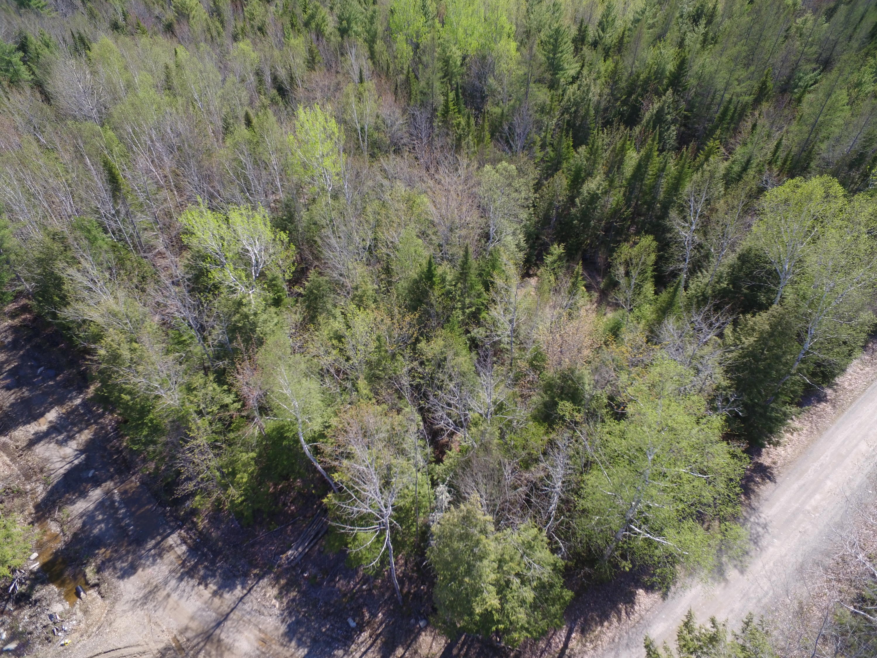 Tbd East Ridge Road Greenbush, ME 04418 - Photo 1 of 9 DJI_0141