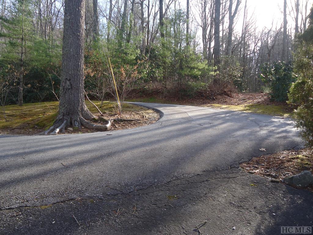 Lot 32 Dominion Road Cashiers, NC 28717 - Photo 8 of 10 Gallery Image 8