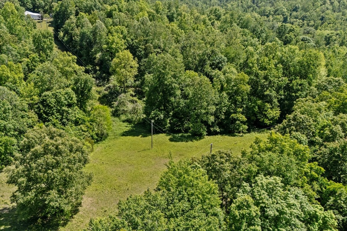 254 Shiloh Hollow Road Erin, TN 37061 - Photo 57 of 63