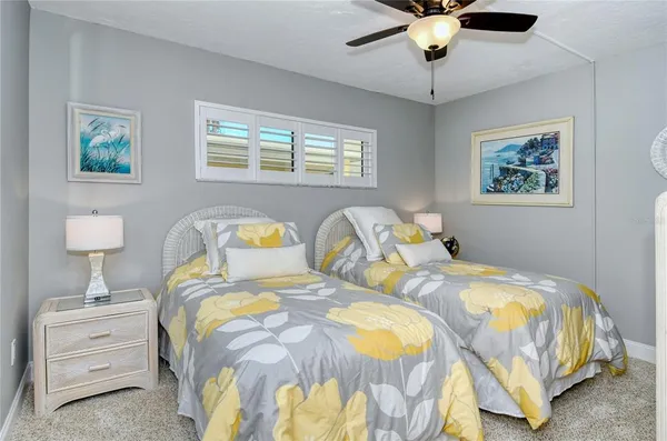 a view of a park with a palm tree