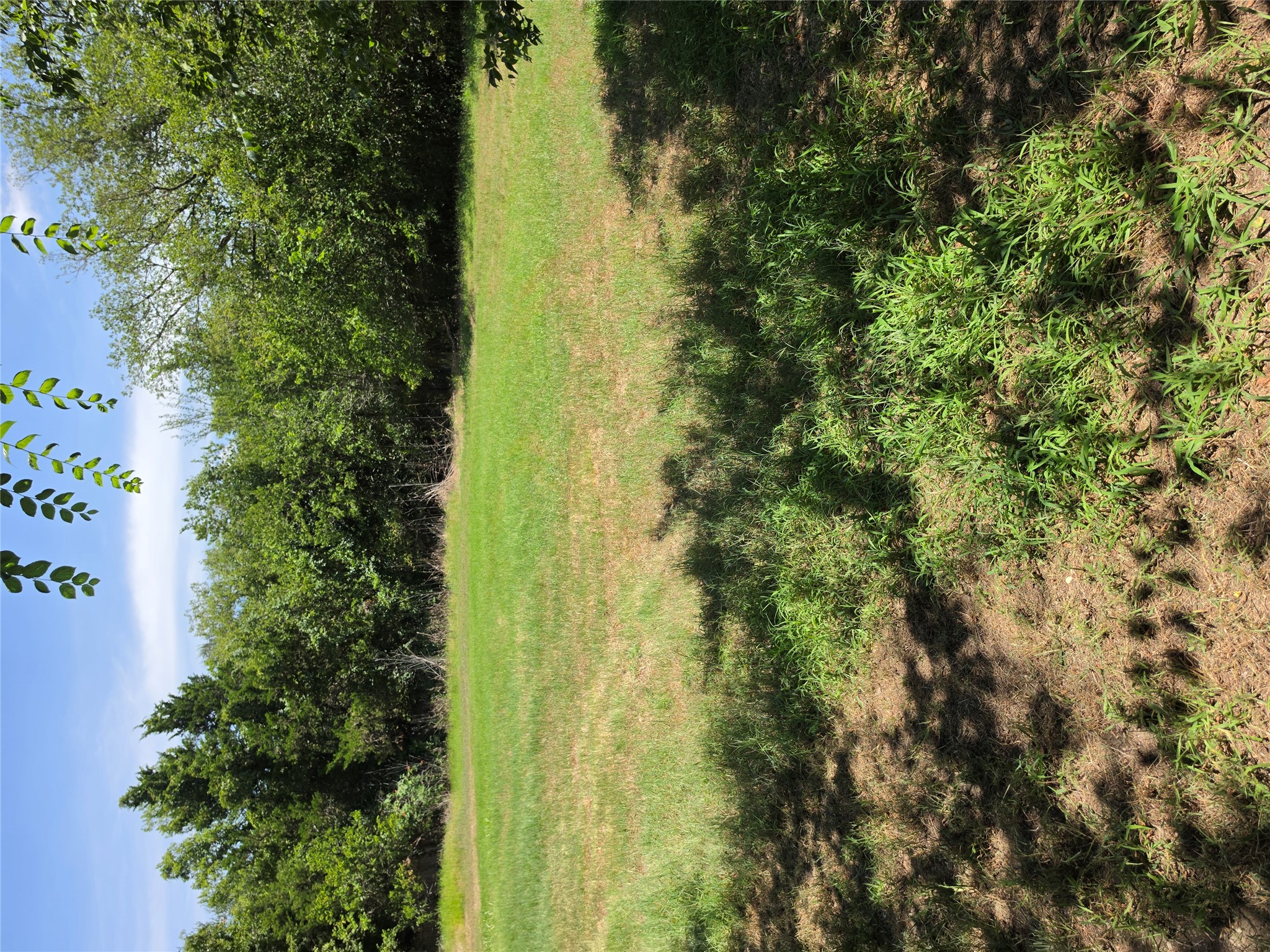 711 2nd Street East Elgin, TX 78621 - Photo 4 of 7 A verdant, open lot offers a serene setting for future possibilities.
