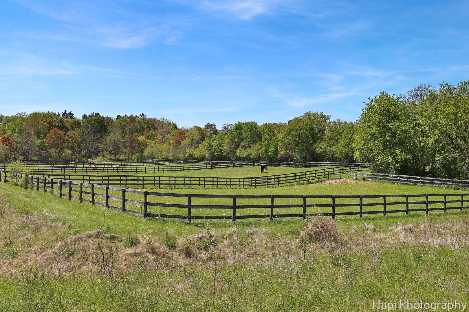 23 West County Line Road Barrington Hills, IL 60010 - Photo 62 of 71 a view of a green field with wooden fence