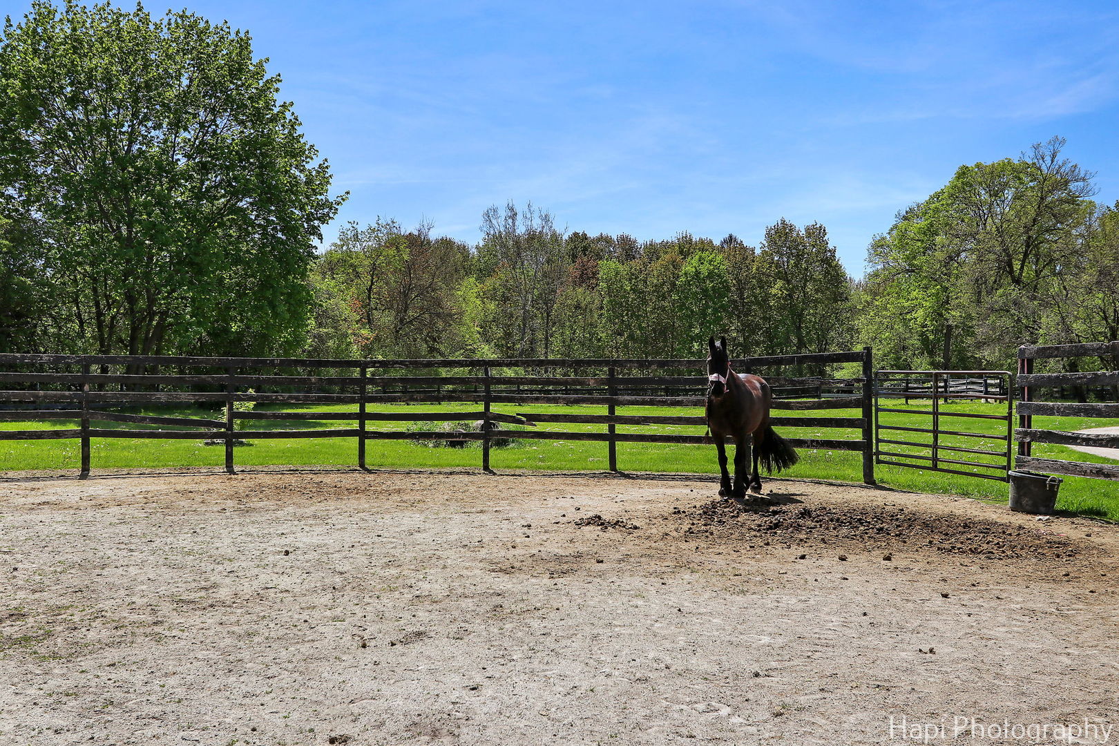 23 West County Line Road Barrington Hills, IL 60010 - Photo 63 of 71 a view of a park with large trees