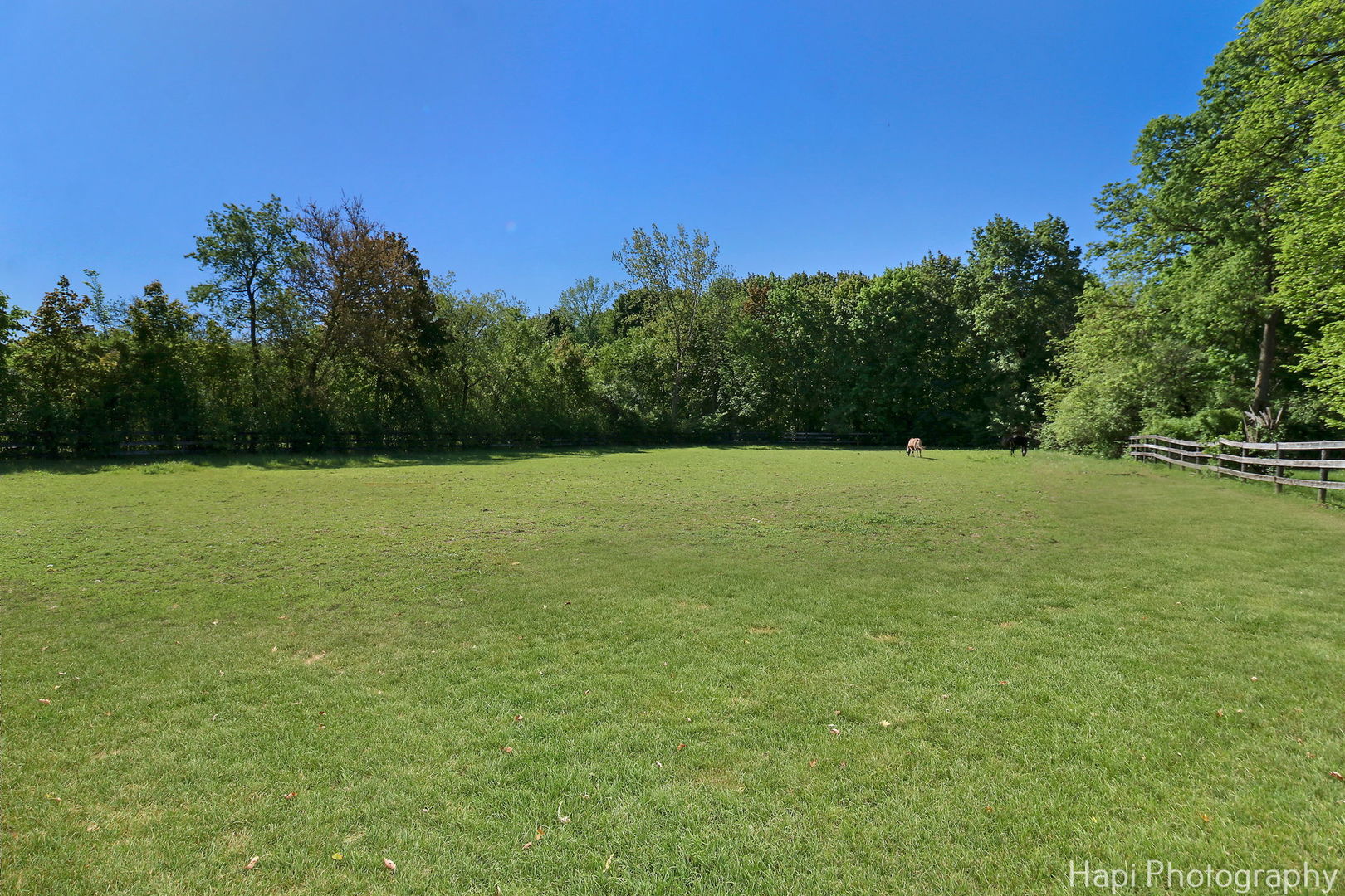 23 West County Line Road Barrington Hills, IL 60010 - Photo 64 of 71 a view of a field with trees in the background