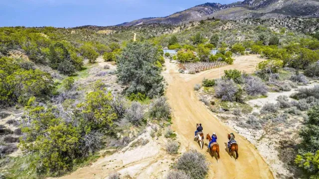 $3,333,000 | 55025 Roadrunner, Anza, CA 92539