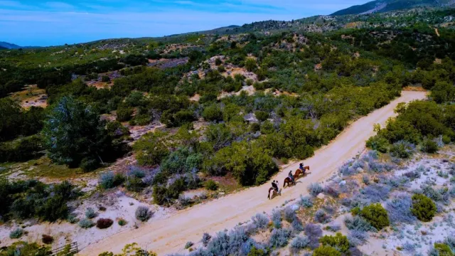 $3,333,000 | 55025 Roadrunner, Anza, CA 92539