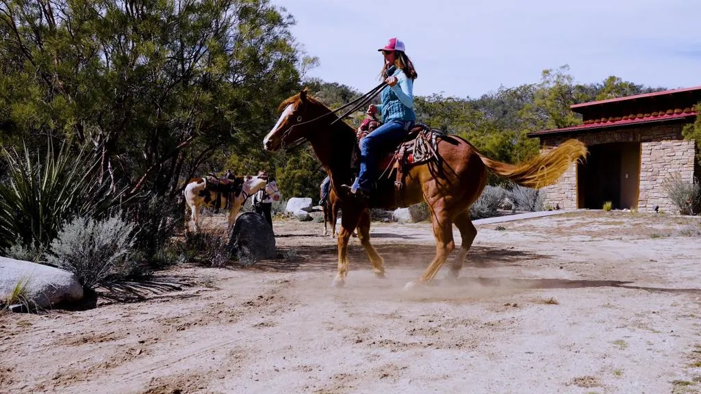55025 Roadrunner Anza, CA 92539 - Photo 35 of 54 a view of a park with swings and slides