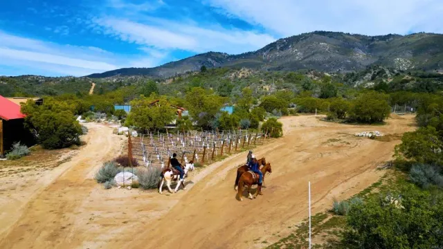 $3,333,000 | 55025 Roadrunner, Anza, CA 92539