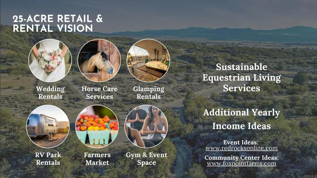 55025 Roadrunner Anza, CA 92539 - Photo 51 of 54