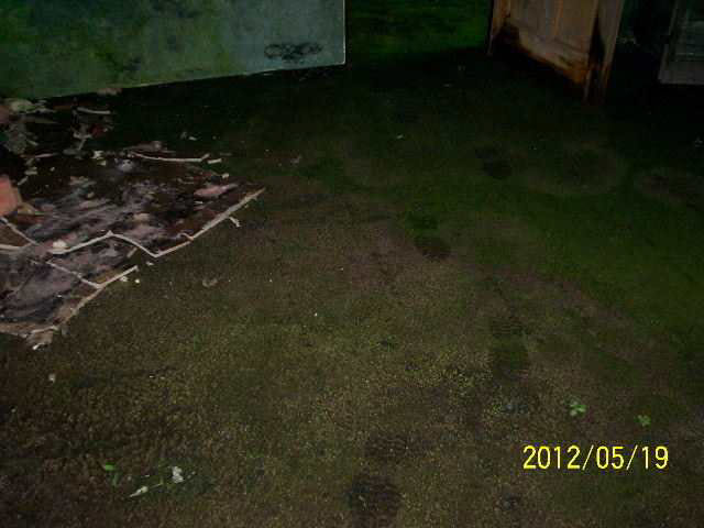 6937 North Prairie Road Springport, IN 47386 - Photo 17 of 29 Gallery Image 17