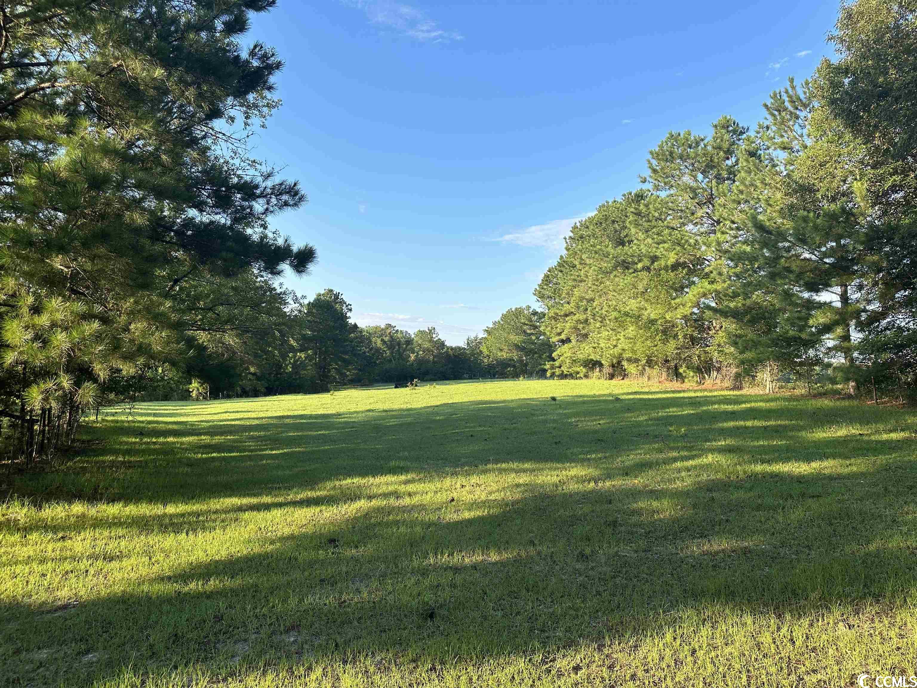 Tbt Wildflower Road Hemingway, SC 29554 - Photo 1 of 20