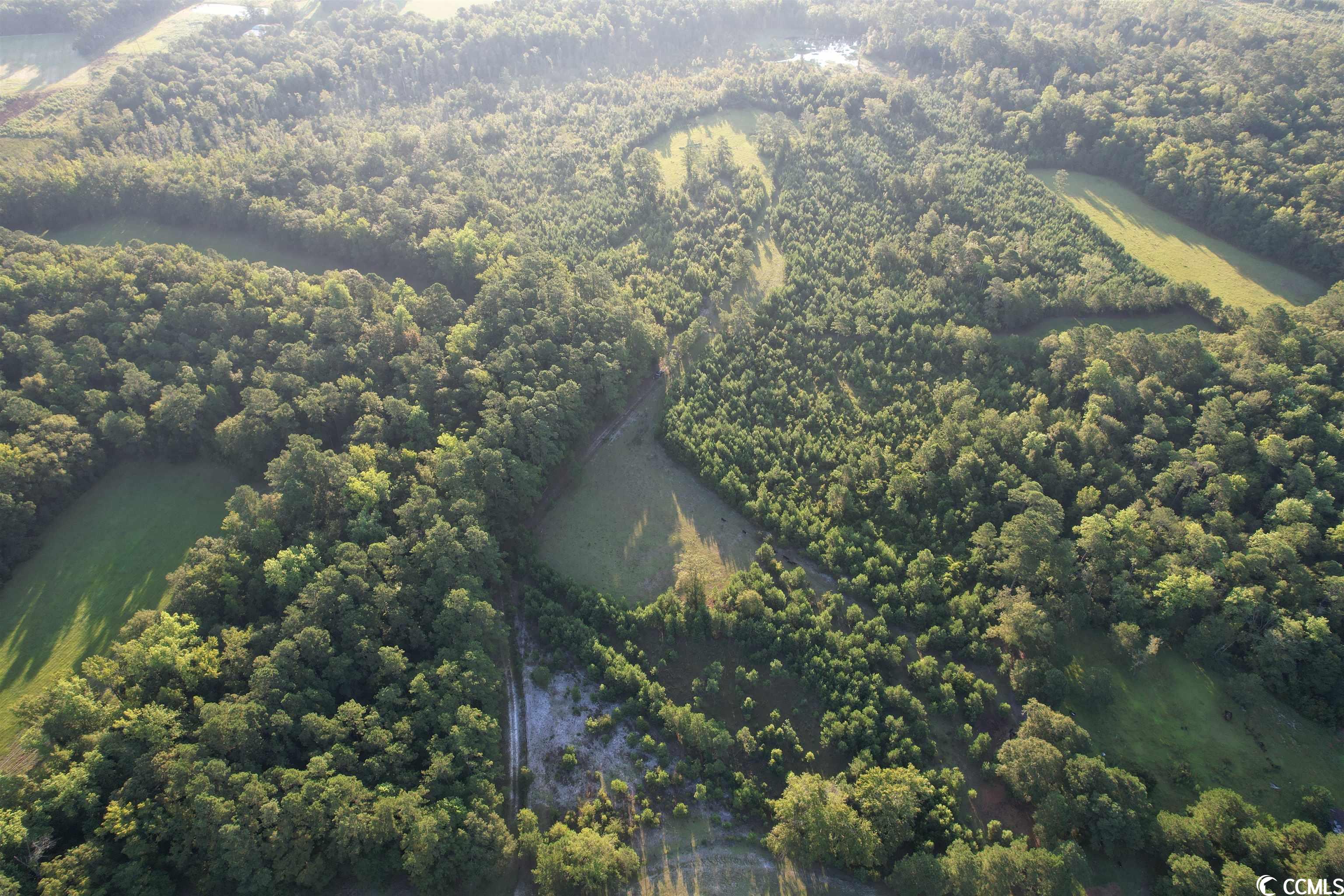 Tbt Wildflower Road Hemingway, SC 29554 - Photo 11 of 20