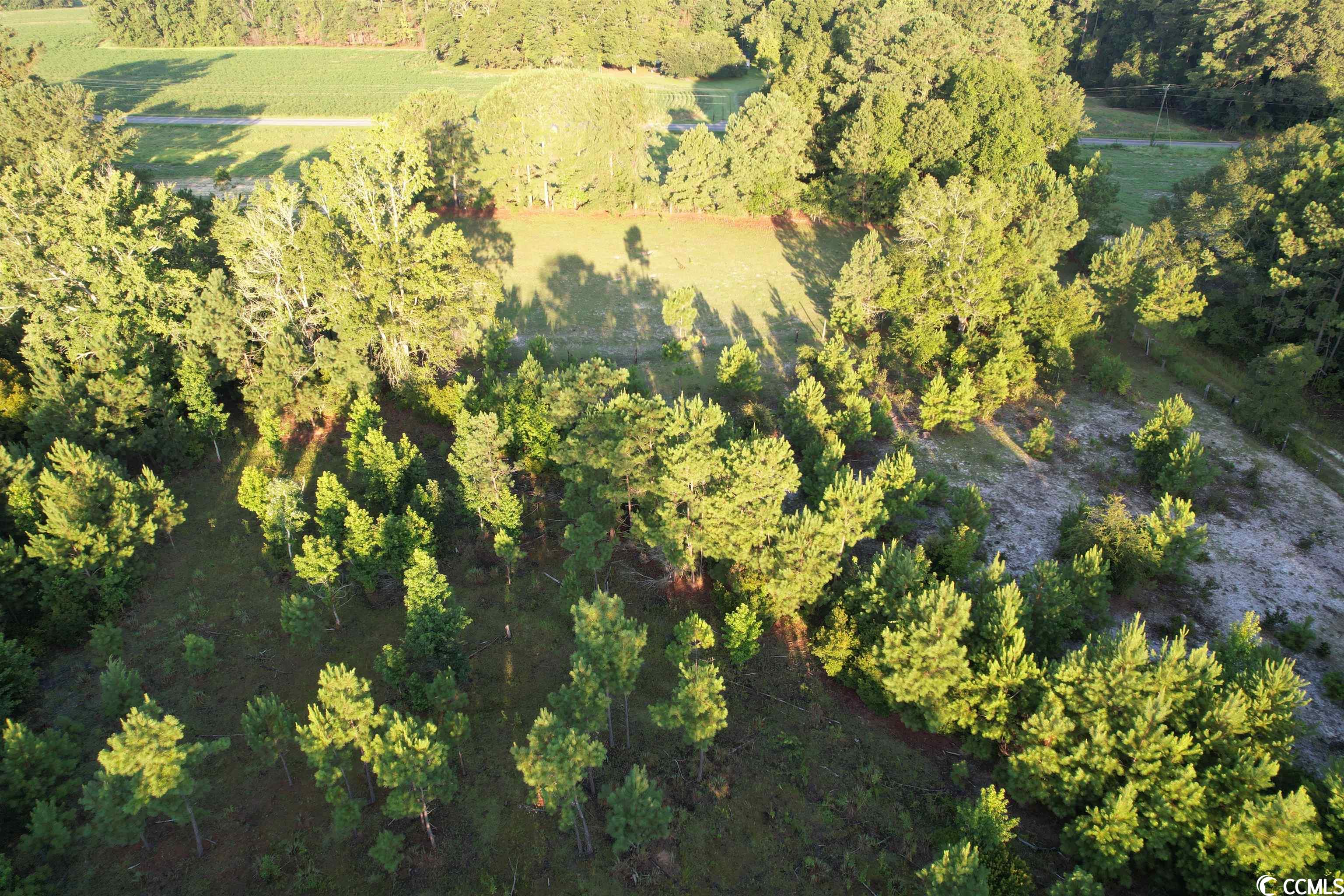 Tbt Wildflower Road Hemingway, SC 29554 - Photo 14 of 20