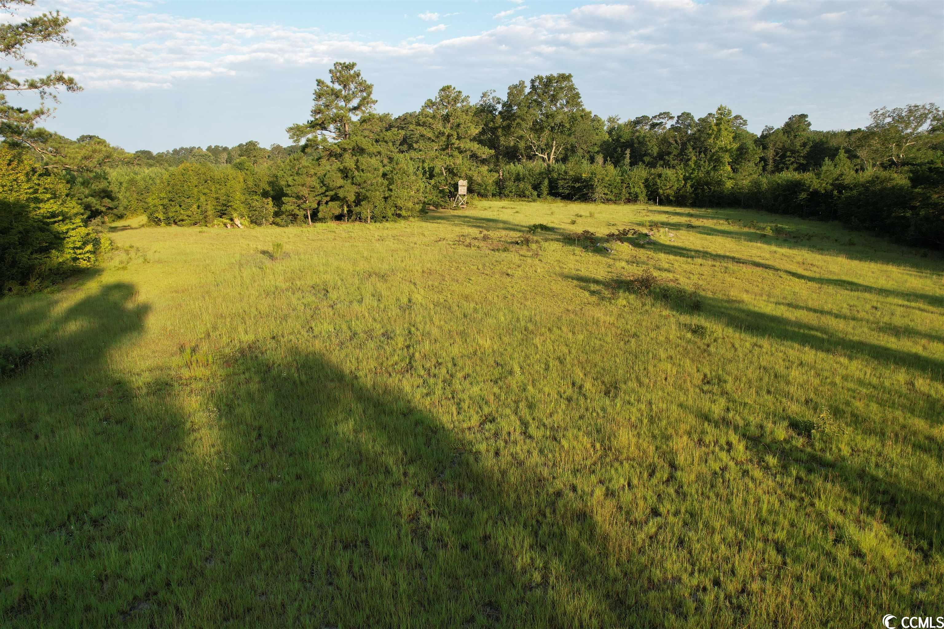 Tbt Wildflower Road Hemingway, SC 29554 - Photo 16 of 20