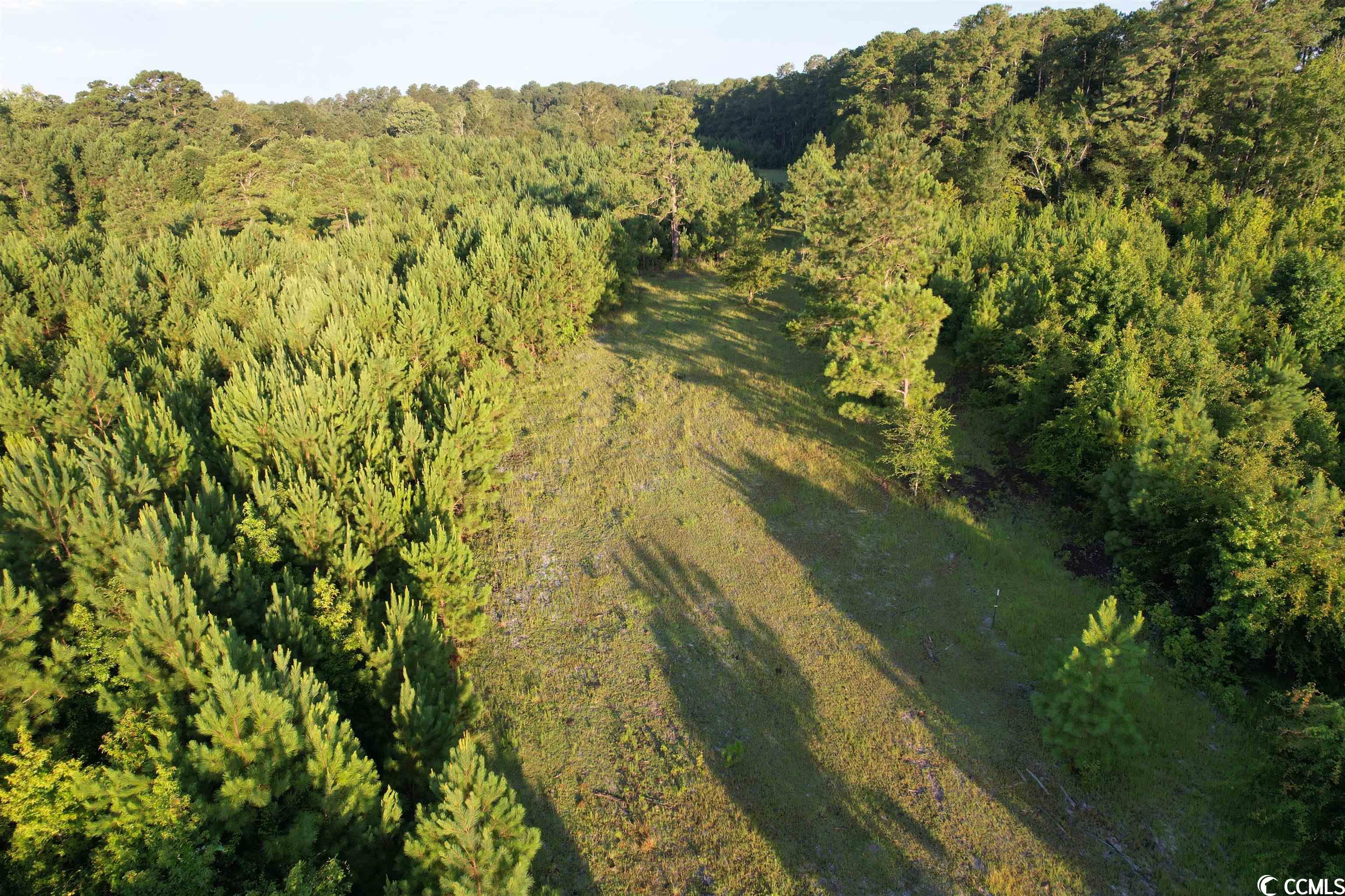 Tbt Wildflower Road Hemingway, SC 29554 - Photo 18 of 20