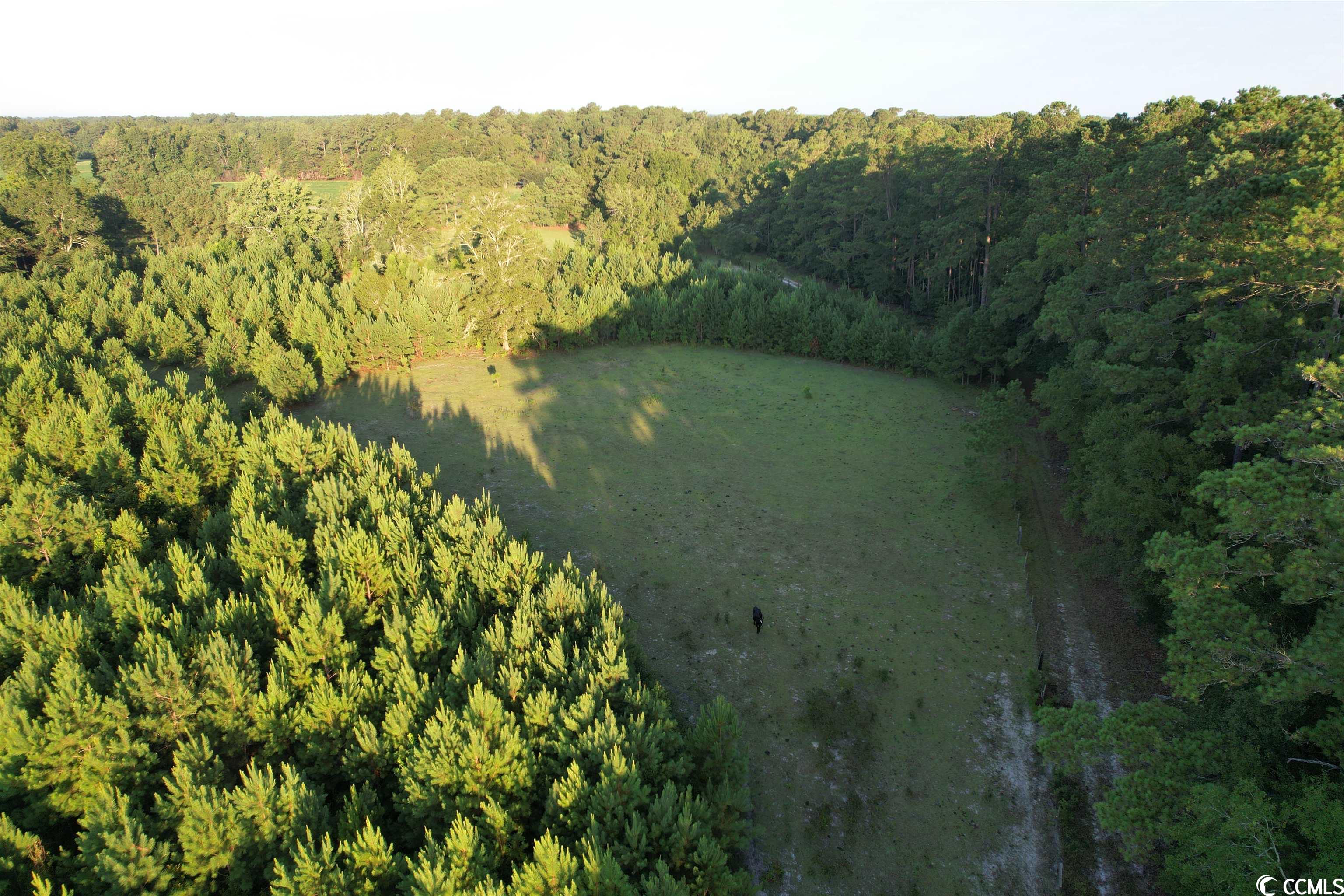 Tbt Wildflower Road Hemingway, SC 29554 - Photo 2 of 20