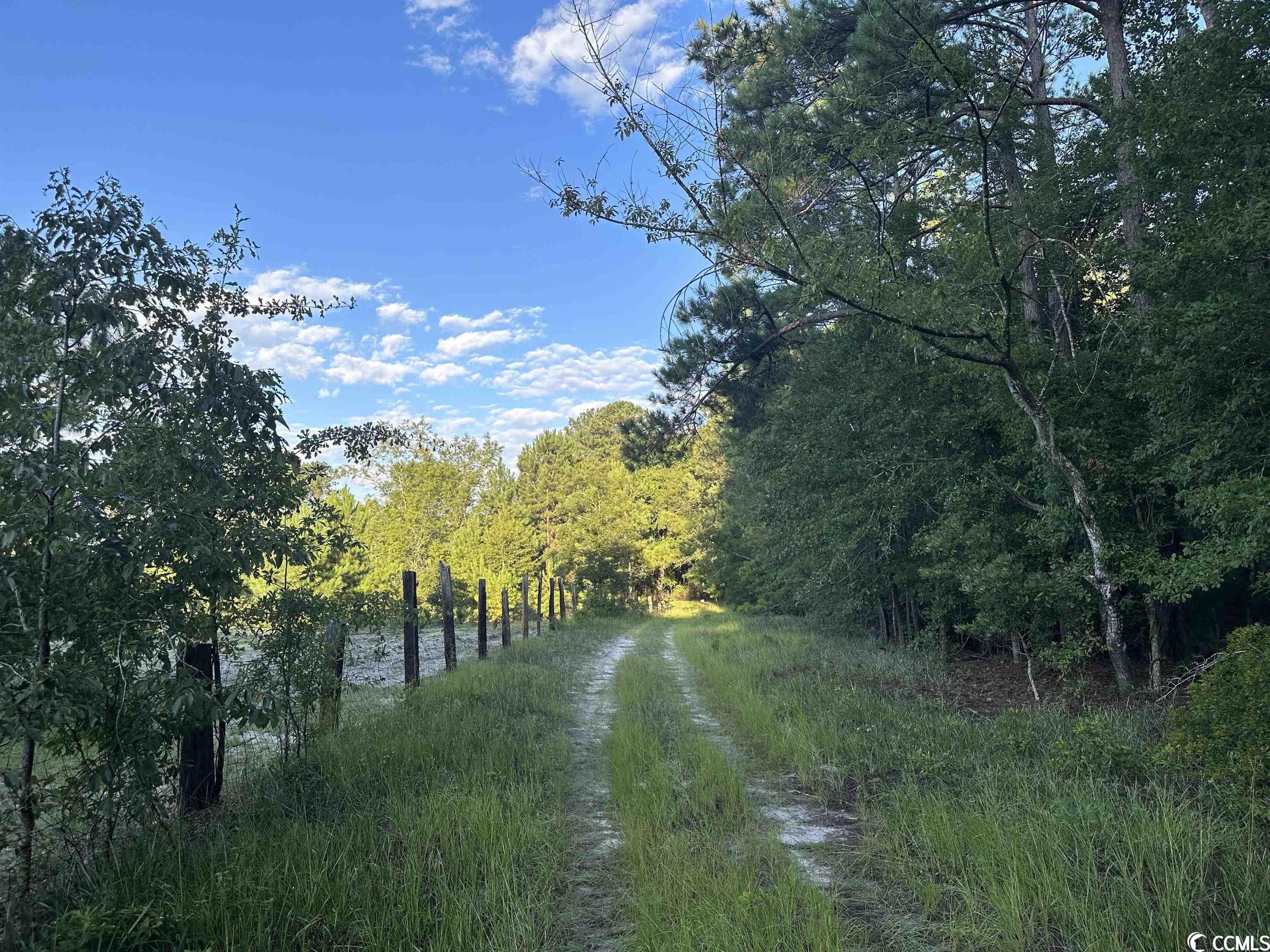 Tbt Wildflower Road Hemingway, SC 29554 - Photo 3 of 20
