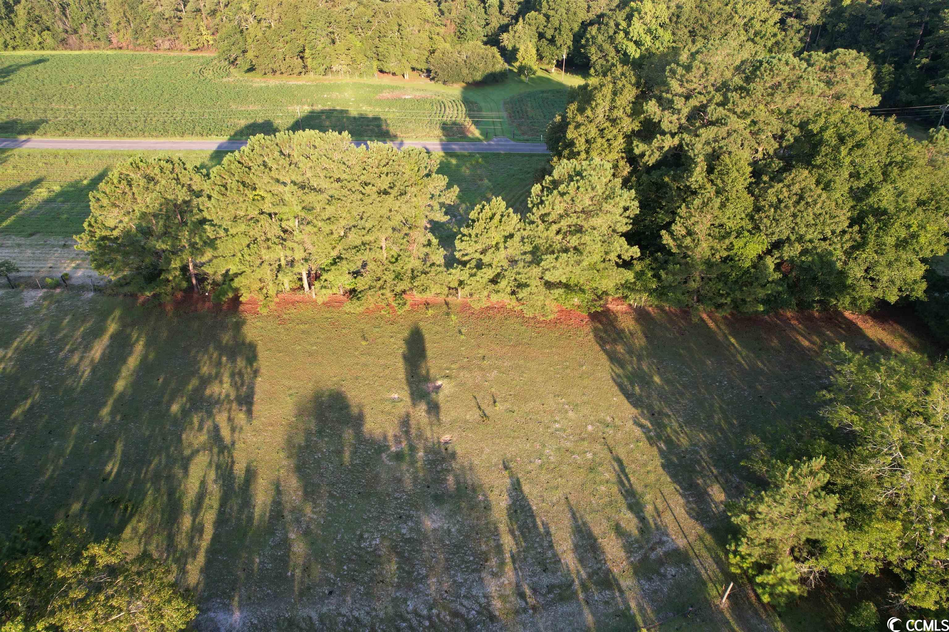 Tbt Wildflower Road Hemingway, SC 29554 - Photo 5 of 20