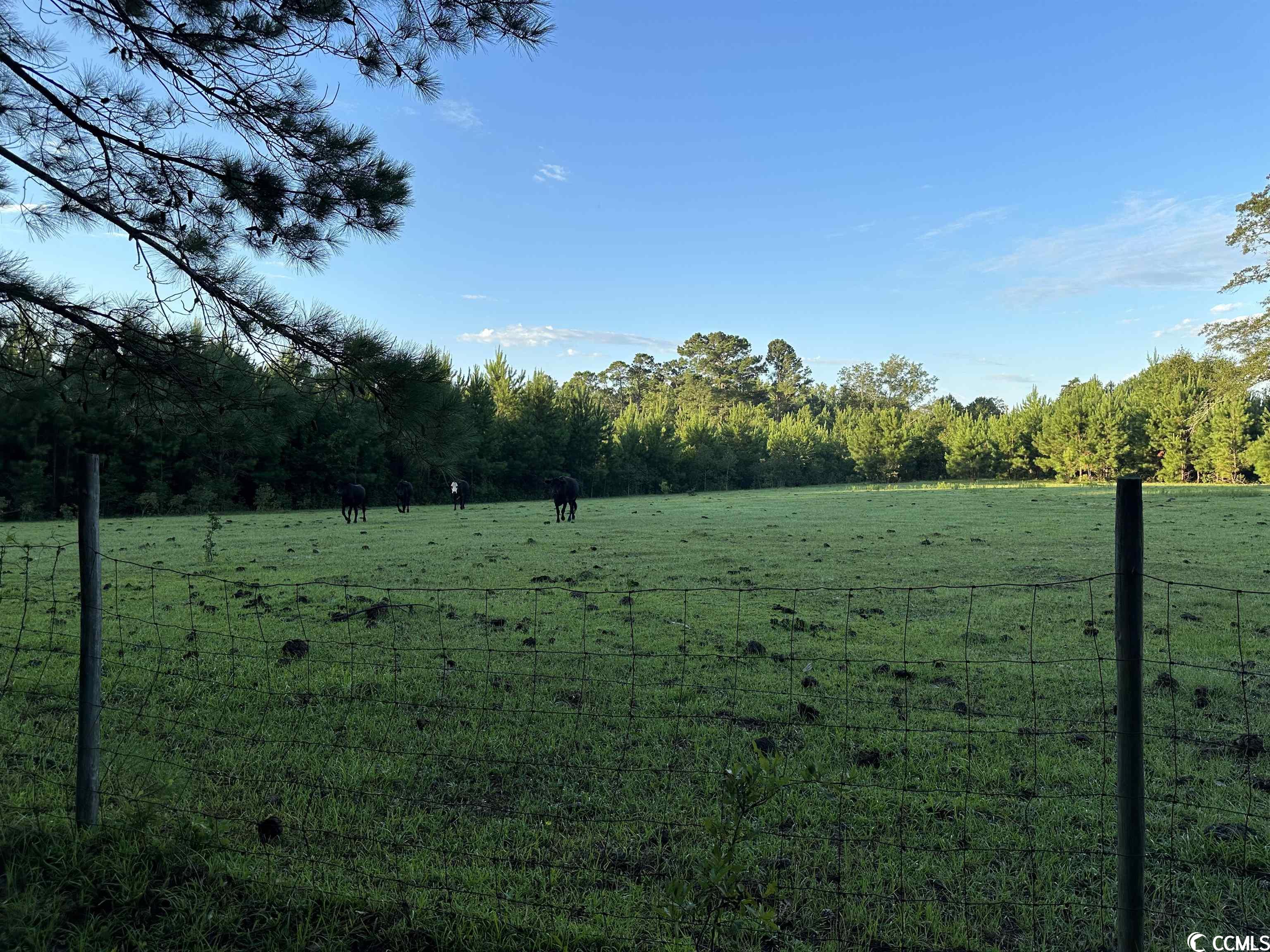 Tbt Wildflower Road Hemingway, SC 29554 - Photo 6 of 20