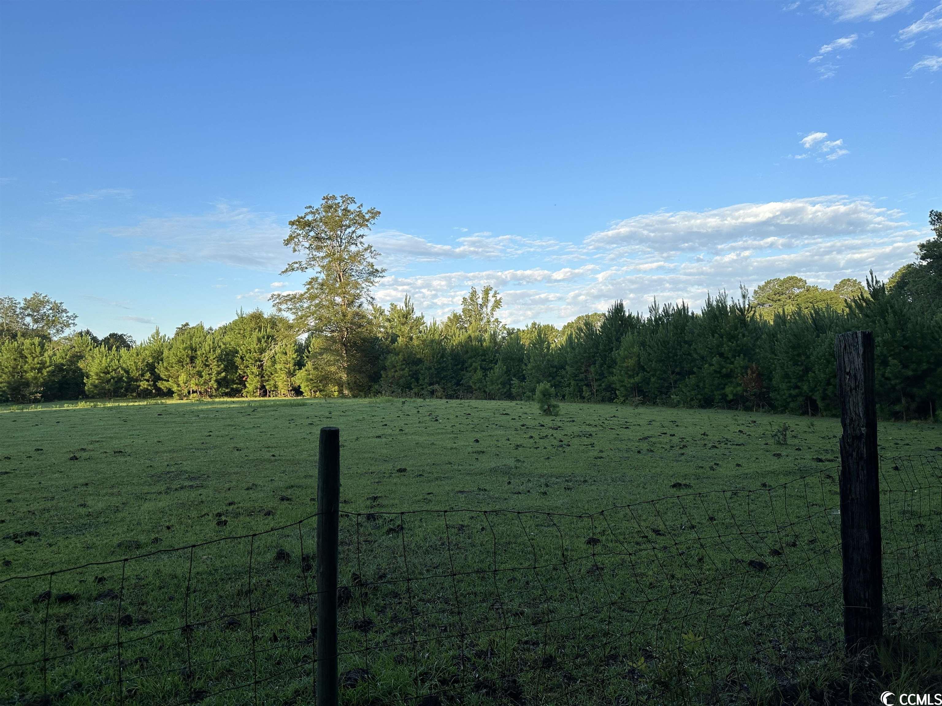 Tbt Wildflower Road Hemingway, SC 29554 - Photo 7 of 20
