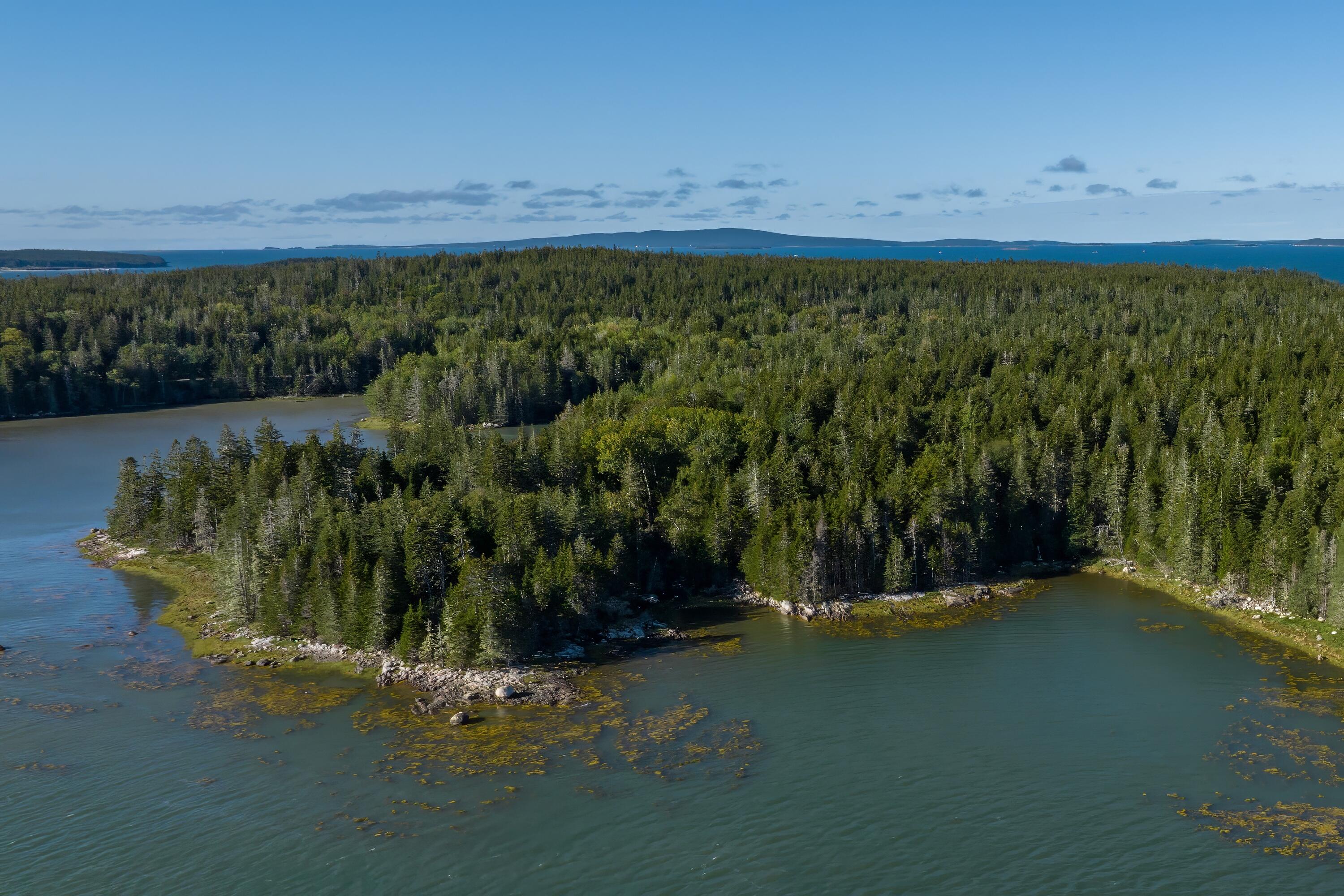 18 Jericho Bay Road Swans Island, ME 04685 - Photo 12 of 36