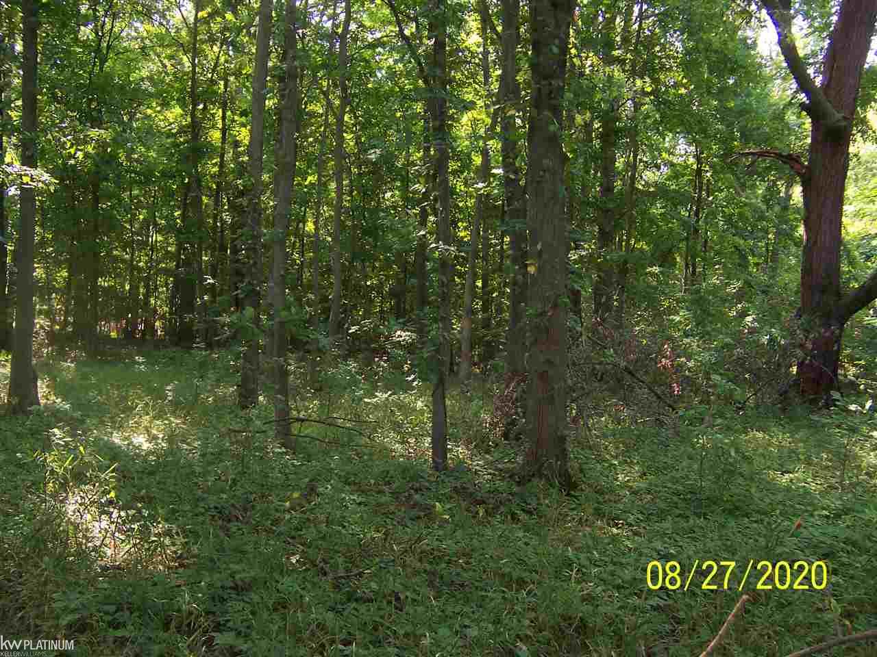 0 Gilbert Road Allenton, MI 48002 - Photo 2 of 3