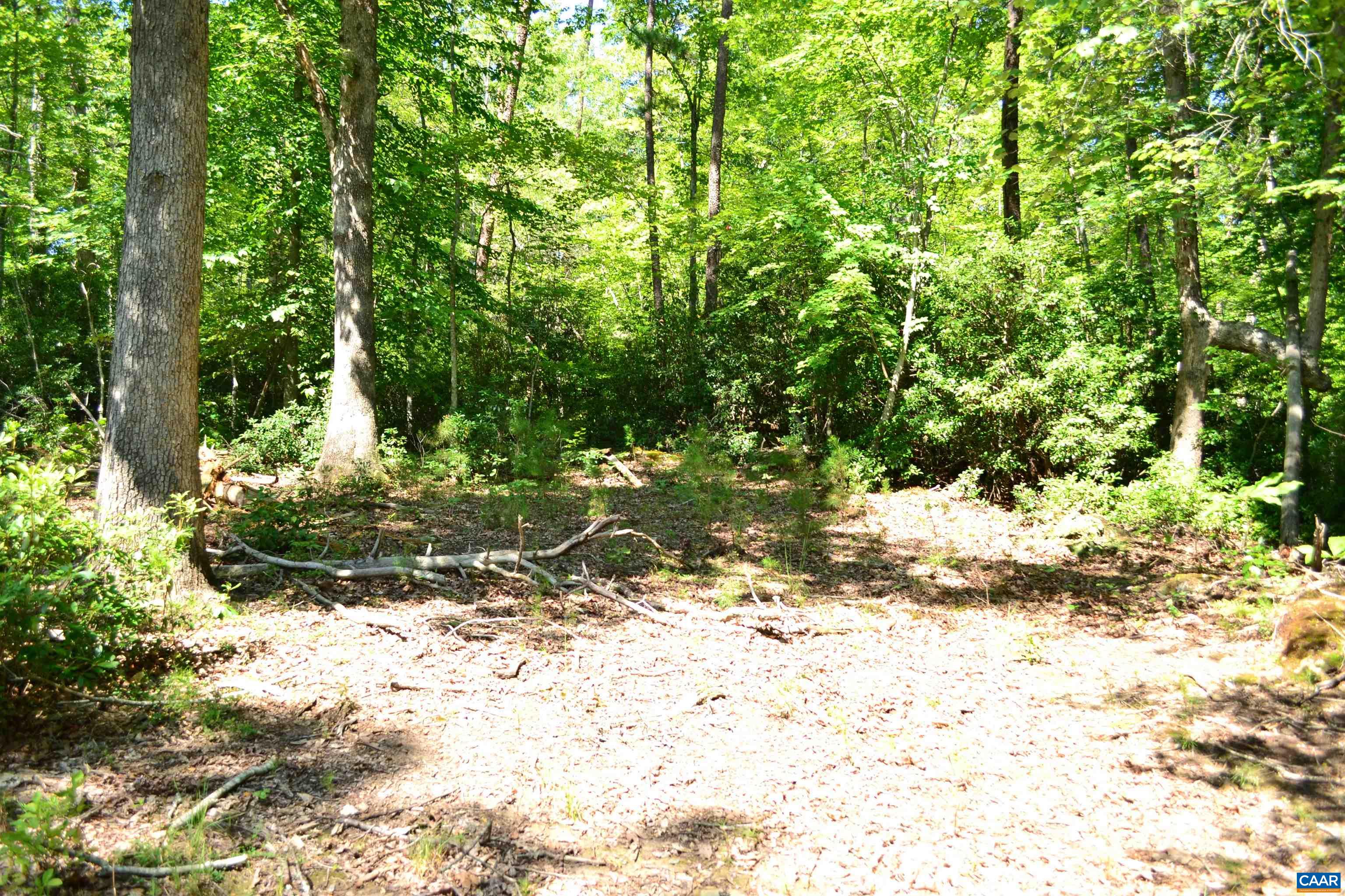 Tbd Damon Road Schuyler, VA 22969 - Photo 5 of 14 Small clearing