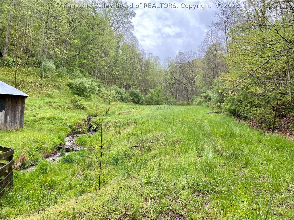 1125 Tariff Road Left Hand, WV 25251 - Photo 48 of 49 Gallery Image 48