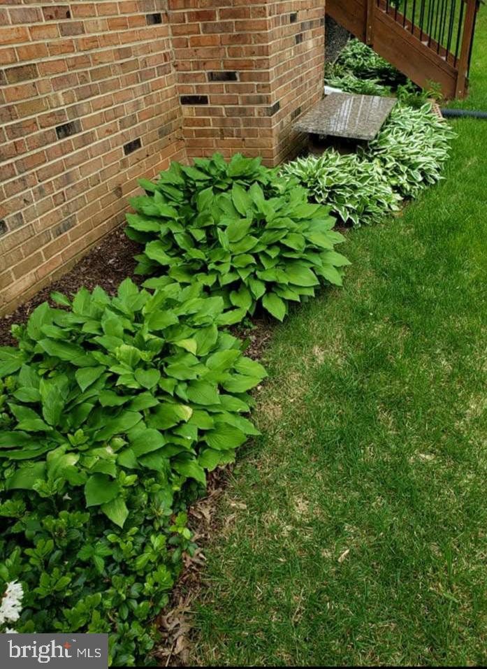 8708 Gateshead Road Alexandria, VA 22309 - Photo 49 of 52 Beautiful flowers and landscaping