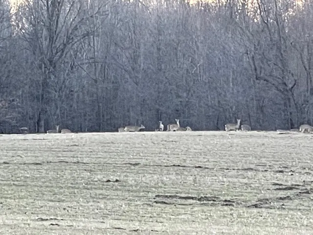 $2,150,000 | 4574 34th Street, Zeeland, MI 49464