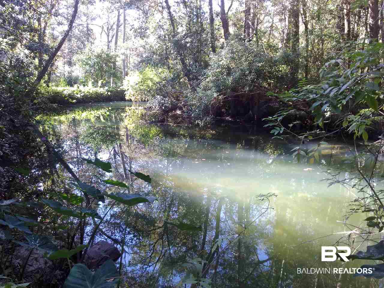 8189 River Road North Foley, AL 36535 - Photo 49 of 50