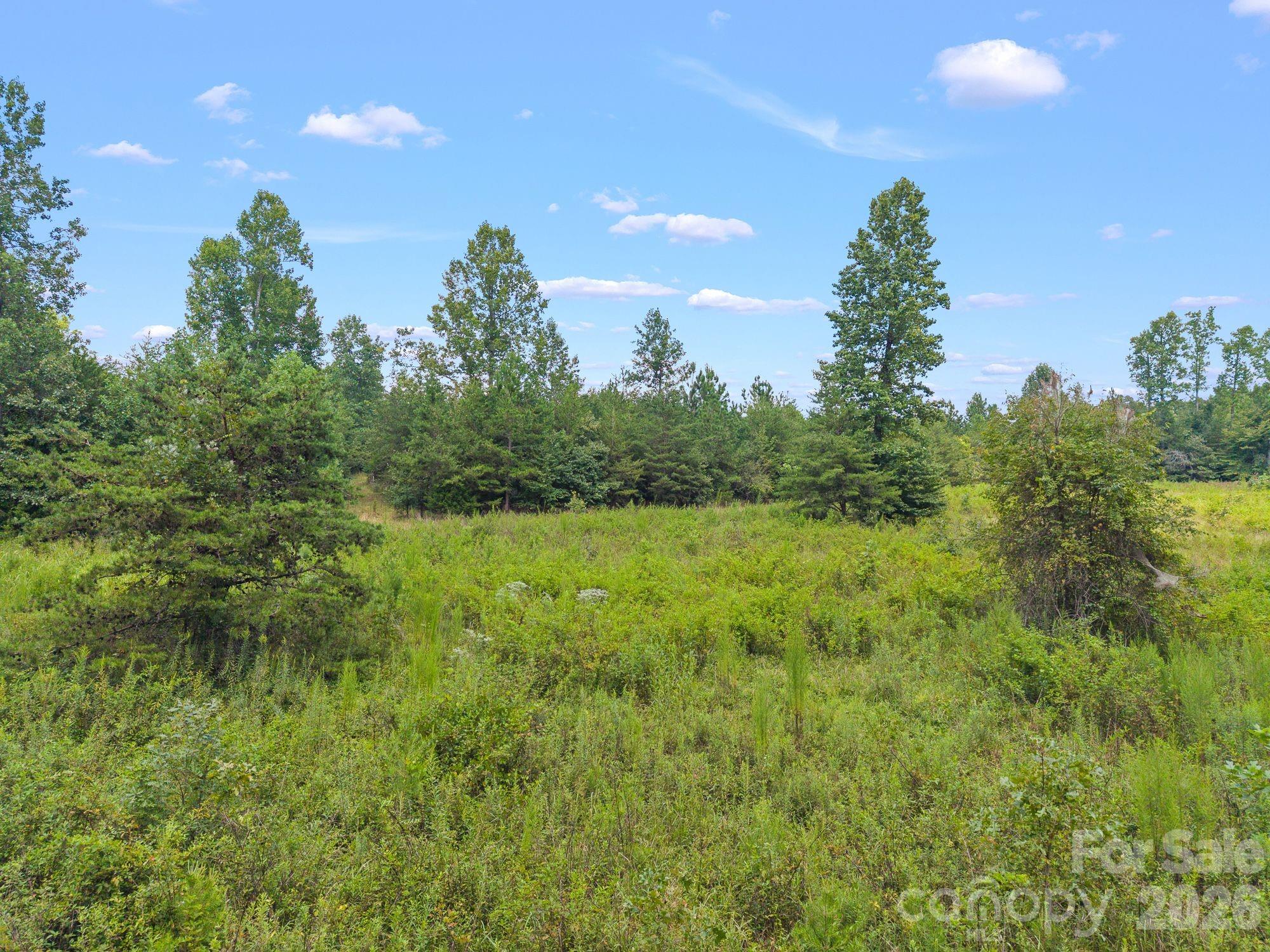 0 Chilly Bowl Road Rutherfordton, NC 28139 - Photo 3 of 18 Gallery Image 3