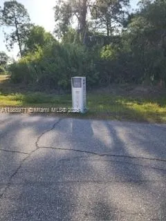 a view of a yard with an outdoor space