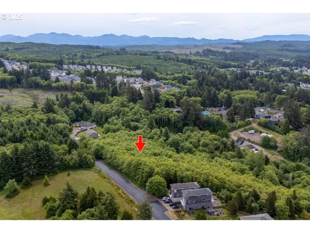 a view of a lush green hillside and houses
