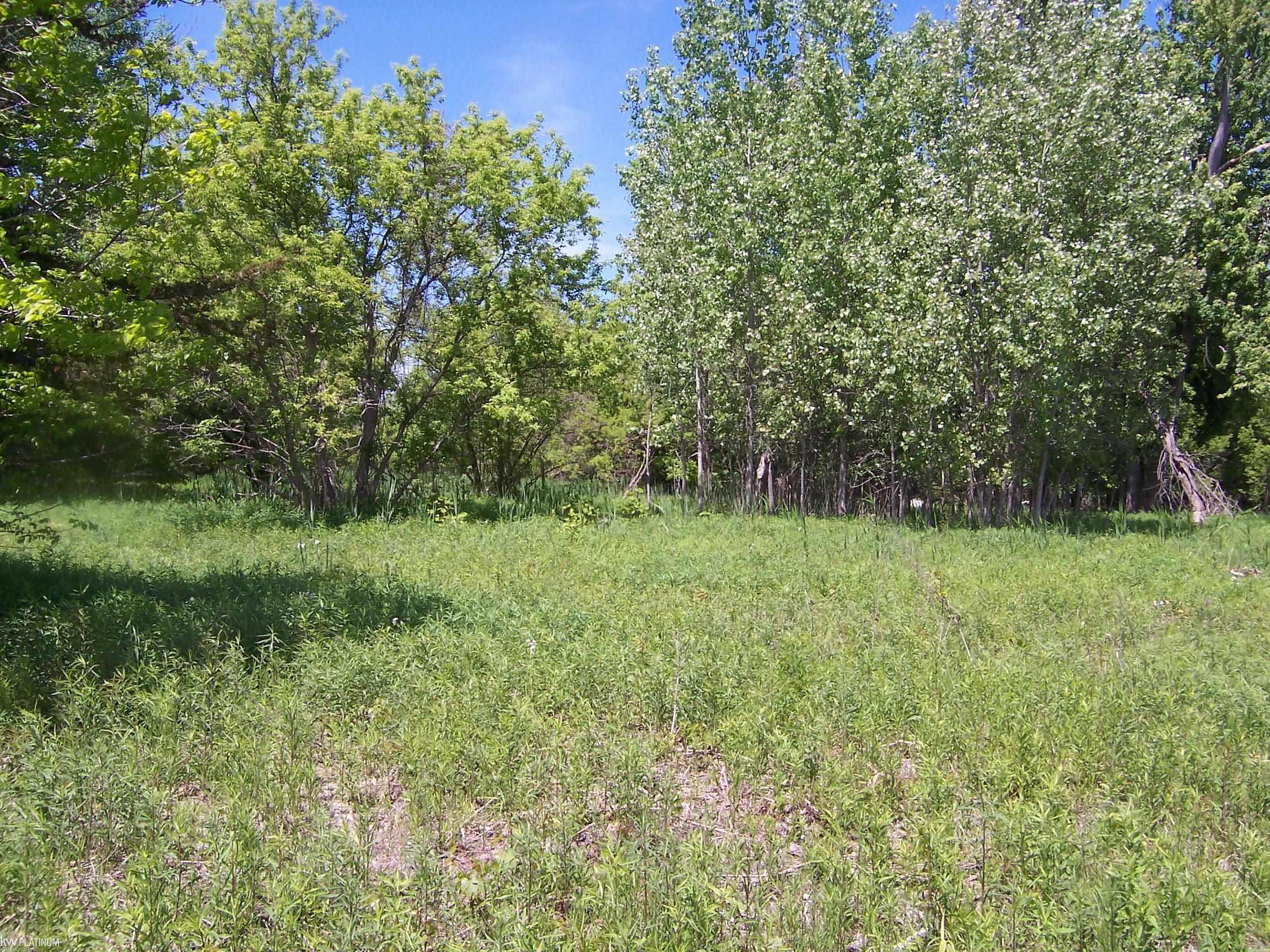 Lot 2 Lapeer Road Smiths Creek, MI 48074 - Photo 2 of 2