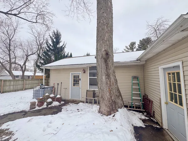 a view of a backyard with a large tree
