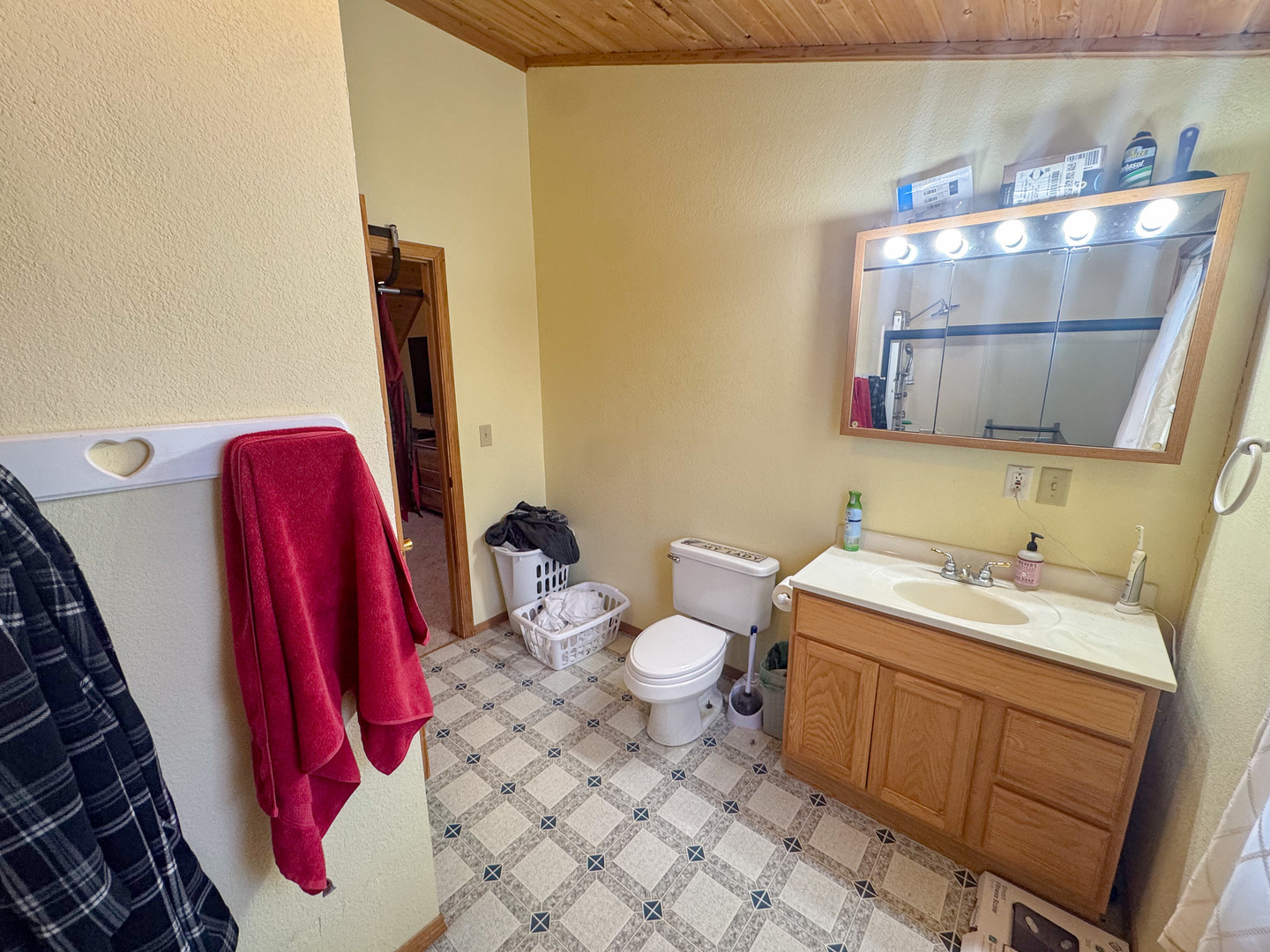 206 Boyd Avenue Amboy, IL 61310 - Photo 38 of 44 a bathroom with a sink vanity mirror and toilet